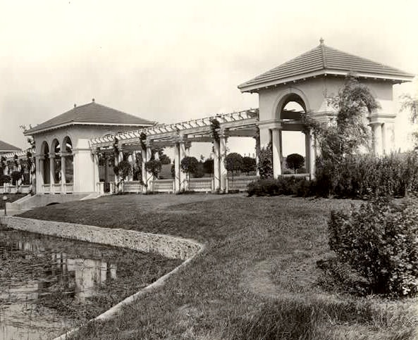 South View - Pergola