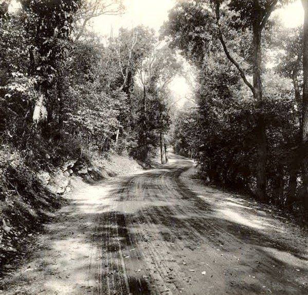 A Drive on Longview Farm