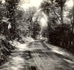 A Drive on Longview Farm