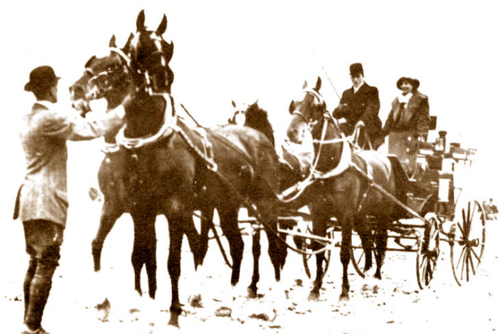 Four-in-Hand with Loula -- Revelation, right front