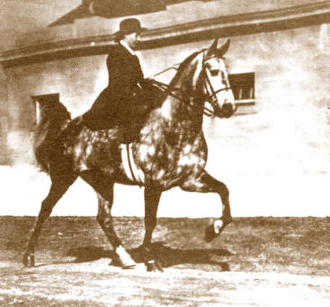 Loula Riding by their City Stable