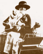 Loula and Bostons at the National Western Stock Show