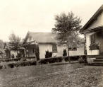 Tenant Houses on Longview Farm