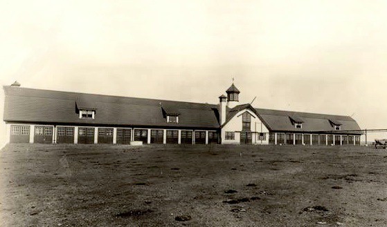 Calf and Shelter Barn