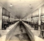Another Interior View - Dairy Group