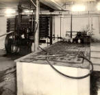 Ice Plant at Longview Farm