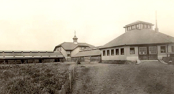 Southeast View - Hog Barn