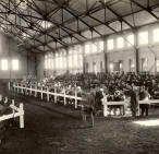 First Horse Sale at Farm - Oct. 31st, 1916 - Arena Show Horse Barn