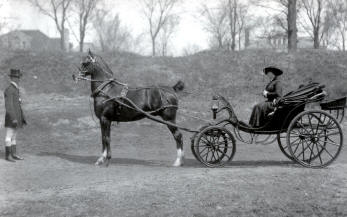 An Original Carriage.  CLICK on picture for enlarged view.