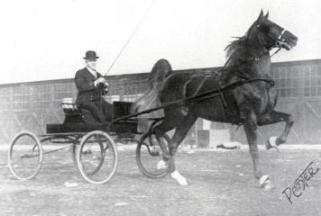 Chief of Longview