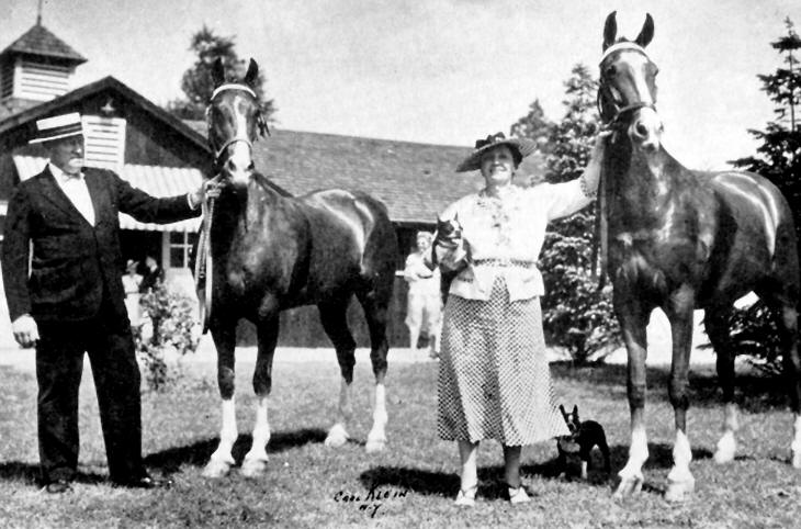 Loula Long Combs' Horses "Captivation" on left, "Invasion" on right.