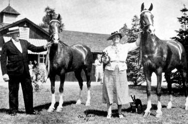 Loula Long Combs' Horses "Captivation" on left, "Invasion" on right.