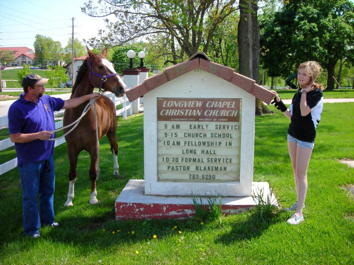 From Walkabout Farms, the Hackney horse, �Louie,� Longview Farm Elementary School mascot