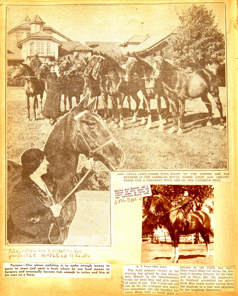 Eight of Loulas Horses